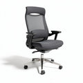 Ergonomic office chair with mesh back support and adjustable features